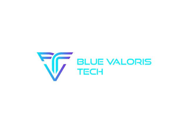 Blue Valoris Tech