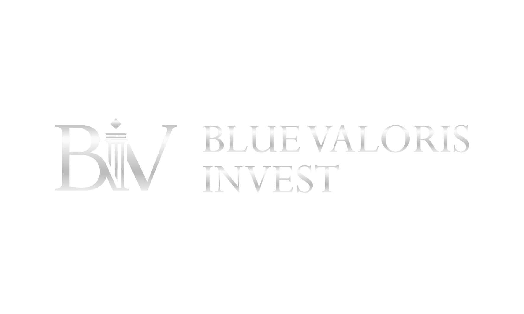 Blue Valoris Invest Logo